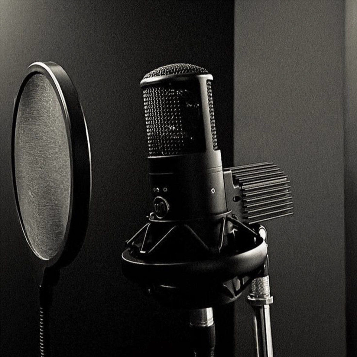 Professional Voiceover Coaching South Africa